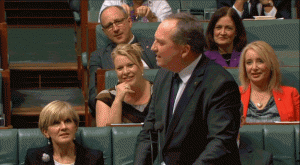 Australian Deputy Prime Minister Barnaby Joyce yells "carp" at the opposition.