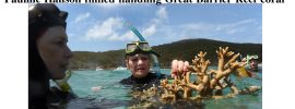 Pauline Hanson filmed handling Great Barrier Reef coral