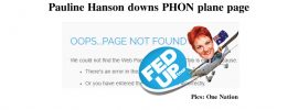 Pauline Hanson takes down PHON plane page